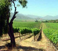 Agroturismo Emilia Romagna
