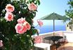 J. Holiday House
