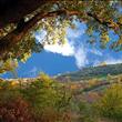 Panoramic view from Le Caggiole