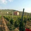 Agriturismo Agrimare Barba