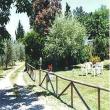 Agriturismo Il Sottopoggio