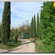 Viale d' ingresso alla Casa dei Girasoli