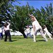 Ginnastica