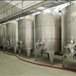 cantina di vinificazione