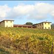 Vigneto e cantina