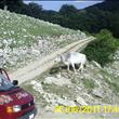 Escursione in jeep