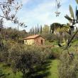 Gli Ulivi - Casa da 4 persone