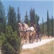 Agriturismo Le Vignacce