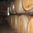 Agriturismo Piombaia Rossi Cantini