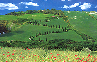 Agroturismo Toscana