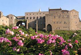 Visitar Viterbo