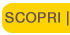 Scopri
